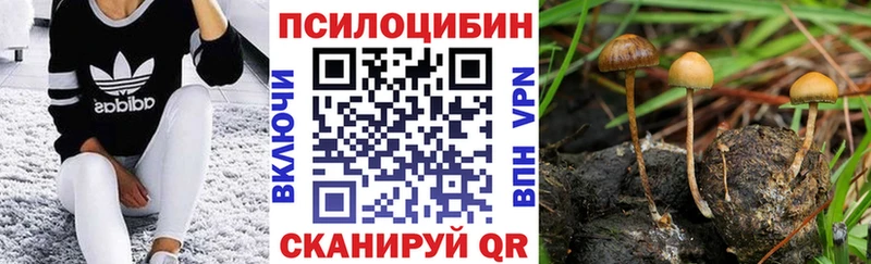 как найти закладки  Ермолино  Псилоцибиновые грибы Cubensis 
